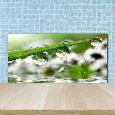 Produktbild von Tulup® Küchenrückwand Spritzschutz aus Glas -100x50 -Spritzschutz auf gehärtetes GlasBlumen & Pflanzen Tropfen auf Gras