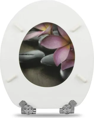 Produktbild von WOLTU Premium WC-Sitz MDF mit Absenkautomatik, Antibakteriell, A Blume Graue