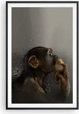 Produktbild von Gerahmtes Poster - Schwarzer Rahmen - Schimpanse Porträt Grafik - 61x91,5 cm - Wand Bild - Wanddeko - Wandbilder - Kunstposter - Wandposter - Bilderrahmen - Bilder - Kunstdruck - P2BPA61x91-4676