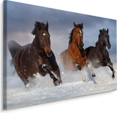 Produktbild von Fabelhafte Canvas LEINWAND BILDER 100x70 cm XXL Kunstdruck Tiere Pferde Wild Schnee