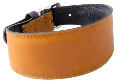 Produktbild von Das Lederband Windhundhalsband Vancouver Maroon/Black, Länge: 62 cm / Breite: 55 mm