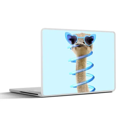 Produktbild von MuchoWow® Laptop Aufkleber Sticker Cover Strauß - Sonnenbrille - Blau - Tiere 32.5x23.5 cm - Sticker für Laptop - Selbstklebend