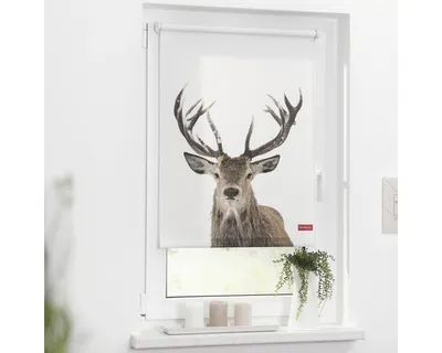 Obrázek produktu pro Roleta na okno Lichtblick bez vrtání bílý jelen 70x150 cm včetně upínacích držáků