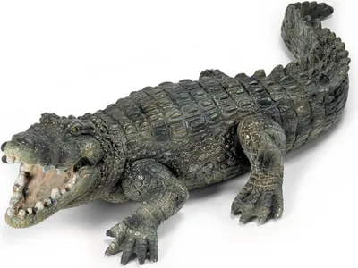 Immagine prodotto di Coccodrillo Schleich