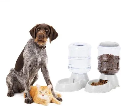Produktbild von Famanu Automatischer Futter- und Wasserspender - 3,8 l für Hunde und Katzen - Set 2 - Grau