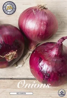 Image de Oignon savoureux « Red Baron », 250 g d'oignons à repiquer, plants