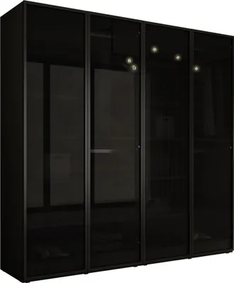 Image de Armoire, noir graphite, 2 x 100 x 200 x 51 cm