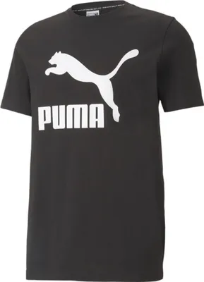 Image de T-shirt Puma Classics Logo Tee 53008801