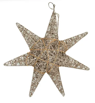 Produktbild von LED Weihnachtsstern Champagner-Gold mit 10 warmweißen LEDs Adventsstern