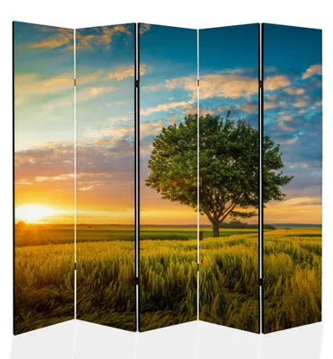 Produktbild von framed concept - Paravent Raumteiler Holz 225x172 cm, 5-teilig beidseitig, Sichtschutzwand