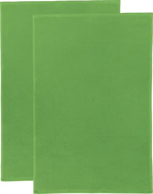 Produktbild von Erwin Müller Frottier-Geschirrtuch 2er-Pack grün 50x70 cm
