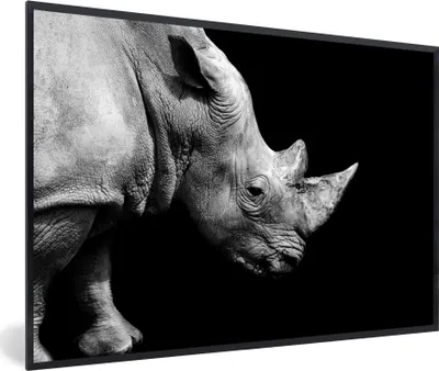 Produktbild von MuchoWow® MuchoWow® Gerahmtes Poster Portrait Nashorn auf schwarzem Hintergrund 30x20 cm - Poster mit zchwarzem Bilderrahmen - Kunstdruck - Bild-Poster