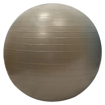 Productafbeelding van RUCANOR 044130 SPORTI Gymnastiekbal, lichtgrijs, 55 cm