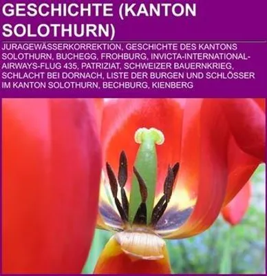 Immagine prodotto di Geschichte (Kanton Solothurn)