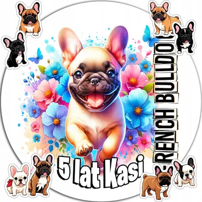 Image de OPŁATEK NA TORT 20CM - PSY Bulldog francuski URODZINY+ IMIĘ 15CM 18CM