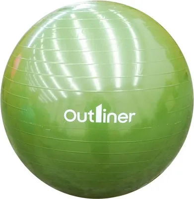 Immagine prodotto di Outliner Gym Ball Pvc Ls3221-65Cm