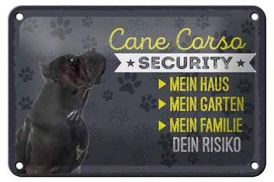 Produktbild von Blechschild Spruch 18x12cm Cane Corso Security dein Risiko Dekoration