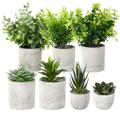 Image de plantes artificielles, petites plantes artificielles, plantes artificielles pour le salon, plantes artificielles pour la chambre à coucher et pour le bureau.