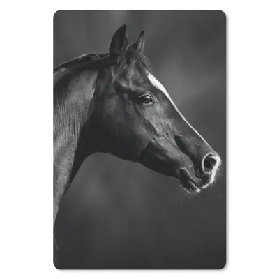 Produktbild von MuchoWow® Mauspad Mousepad Pferd - Tiere - Schwarz - Weiß - Porträt 18x27 cm - Mousepads - Maus Mat - Pad - Mausunterlage