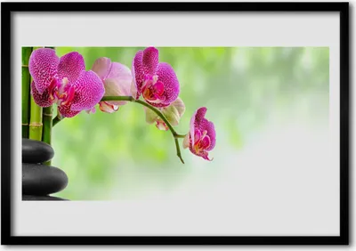 Produktbild von Bild 100x70 MDF-Rahmen Wandkunst Natur Bambus Blume