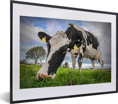 Produktbild von MuchoWow® MuchoWow® Gerahmtes Poster Kuh - Gras - Bauernhof - Natur 40x30 cm - Poster mit zchwarzem Bilderrahmen - Bilderrahmen - Poster im Rahmen