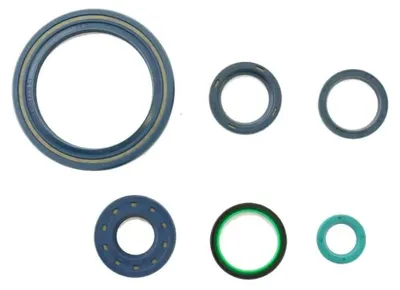 Immagine prodotto di Kit paraolio motore ATHENA P400110400750