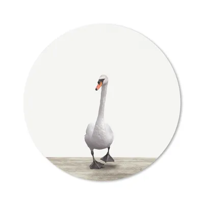 Produktbild von MuchoWow® Mauspad Mousepad Schwan - Tiere - Vogel - Jungen - Mädchen - Kinder 30x30 cm - Mousepads - Maus Mat - Pad - Mausunterlage - Tischunterlage - Schreibtischmatten