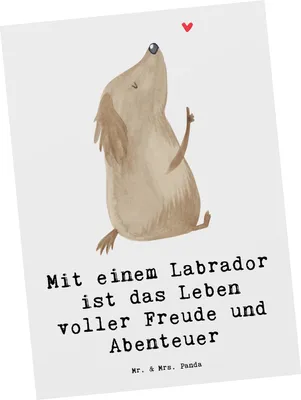 Produktbild von Mr. & Mrs. Panda Postkarte Labradorleben - Weiß - Geschenk, treue Begleiter, Hunderassen, kinderfreundlich, Hunderasse, Postkarten, Hund, Hundeliebhaber, Vielfalt, Strand