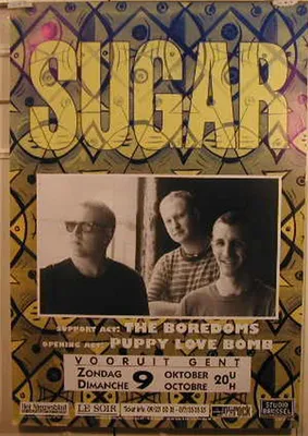Zdjęcie produktu dla Plakat "Sugar" - 68x97 cm