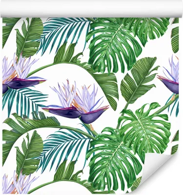 Produktbild von 10m VLIES TAPETE Rolle Blumen Blätter Monstera Palmen Exotisch Flora XXL