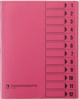 Zdjęcie produktu dla Bene Ordnungsmappe 83800RS DIN A4 12Fächer rosa