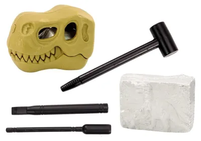 Obrázok produktu pre LEAN Toys 18705 Archeologická sada vykopávok – dinosaury, fosílie v lebke