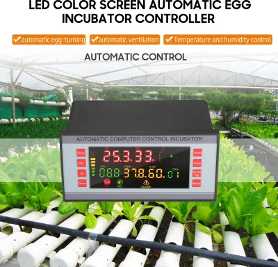 Produktbild von LED-Farbbildschirm, automatischer Inkubator-Controller, Eiermaschine, Geflügel, digitale Temperatur und Luftfeuchtigkeit für Inkubation, Brutgerät mit 5 Modi