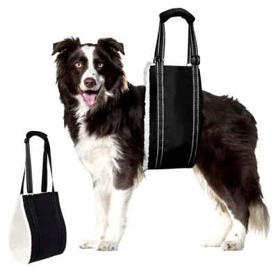 Produktbild von Hunde Tragehilfe, Einstellbare Unterstützung für Behinderte und Ältere Hunde, geeignet für Kleine, Mittlere und Große Hunde (M)