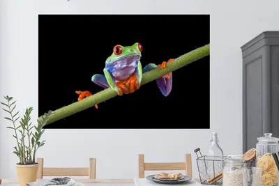 Produktbild von MuchoWow® - Selbstklebend - Fototapeten