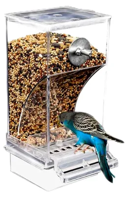 Produktbild von Automatischer Futterspender für Vögel mit transparentem Wasserspender
