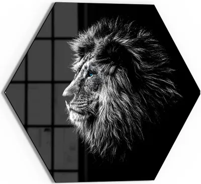 Produktbild von DEQORI Glasbild Echtglas 55x48 cm 'König der Tiere im Profil' Wandbild Bild modern Deko