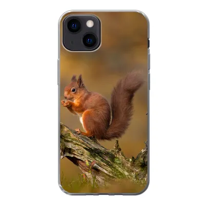 Produktbild von MuchoWow® Handyhülle Schutzhülle Hülle für iPhone 13 Eichhörnchen - Baumstamm - Wald Silikon Softcase Handy Hülle - Karteninhaber