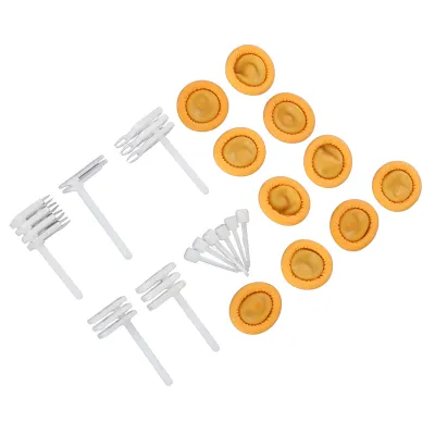 Produktbild von 21-teiliges Set mit Ersatzkamm für Festplattenköpfe – Werkzeugset zur Reparatur von Festplattenköpfen und Datenrettung