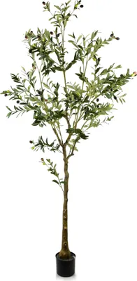 Produktbild von Kunstpflanze Olivenbaum Kunststoff ohne Marke Olive H 180 cm (Topf Ø 15 x H 13 cm) Grün 1 Stück