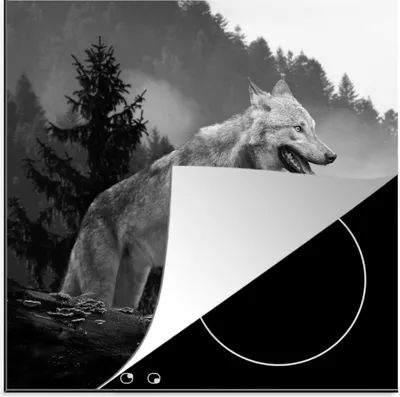 Produktbild von KitchenYeah© Herdabdeckplatte Wolf - Wald - Schwarz - Weiß , 78x78cm, Küche Deko, Glaskeramikkochfeld Herdabdeckung, Abdeckplatte fùr Kochfeld