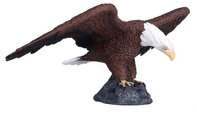 Produktbild von Animal Planet Weißkopfseeadler
