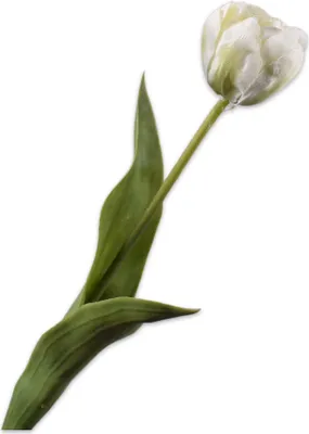 Produktbild von Silk-ka Künstliche Blumen – Seidenblumen, Tulpenstiel, Creme, 47 cm, pro 2 Stück