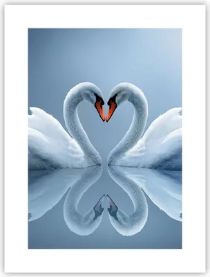 Produktbild von Poster - Poster ohne Rahmen - Ladung Dampf Wasser - 30x40 cm - Wand Bild - Wanddeko - Wandbilder - Kunstposter - Wandposter - Bilder - Kunstdruck - Wanddekoration - Wandbild - P2XPA30x40-3541