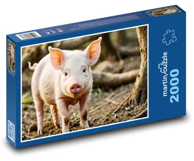 Obrázek produktu pro martinpuzzle - Puzzle 2000 - Malé prase v lese