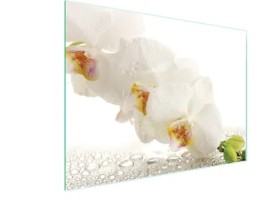 Produktbild von Glasschneidebrett 40x30 Orchidee