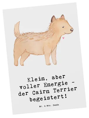 Produktbild von Mr. & Mrs. Panda Postkarte Cairn Terrier - Weiß - Geschenk, Hundeliebhaber, Hunde Sprüche, Ansichtskarten, Hunderassen, einzelkarte, Grußkarte, Hunderasse, Postkarten