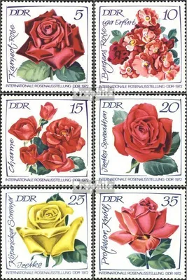 Produktbild von Briefmarken DDR 1972 Mi 1763-1768 (kompl.Ausg.) FDC Internationale Rosenausstellung (I)
