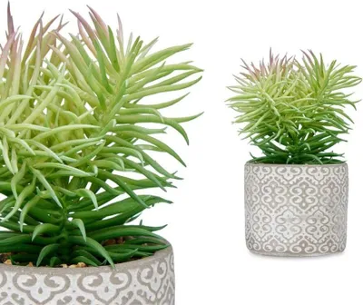Image de Ibergarden Succulente décorative Succulente en bois Plastique Plante 12 x 22 x 12 cm (8 pièces)
