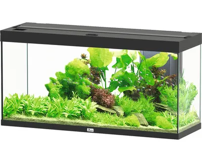 Produktbild von Aquarium aquatlantis Splendid 240 inkl. Beleuchtung, Filter schwarz